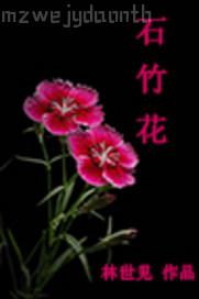 加勒比白虎系列