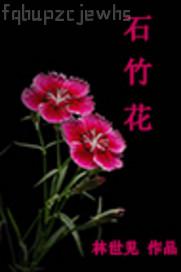 四五個男人干老婆的逼小說