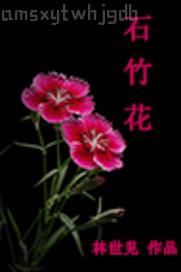 成人電夥 快播一級(jí)色情片