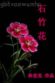 奴隸辣文
