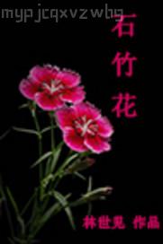 奇米影視若怒秋霞777